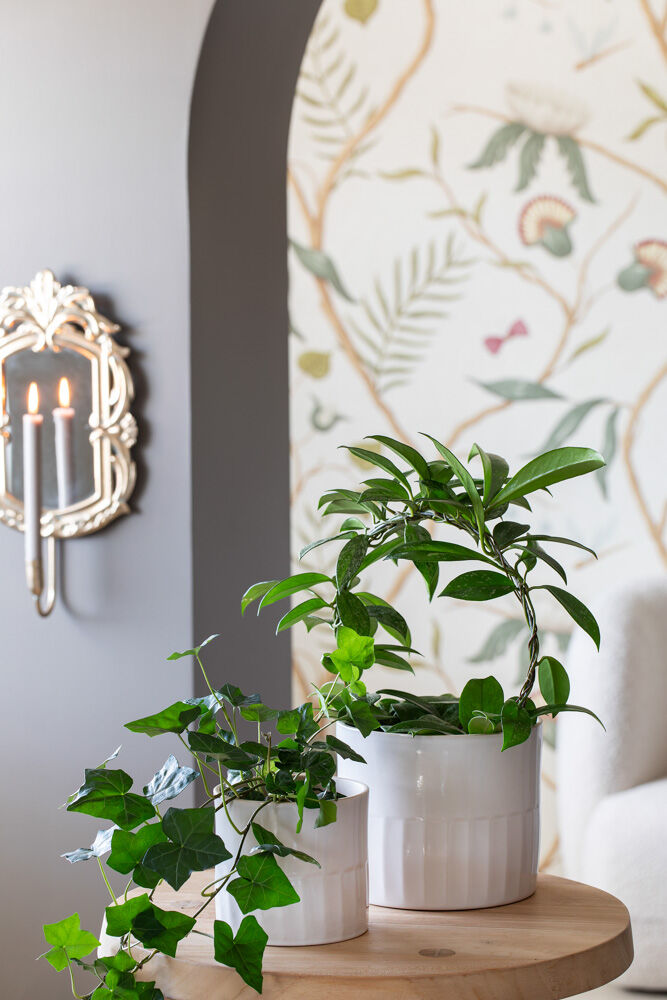 Ronja potter med gr&oslash;nne planter