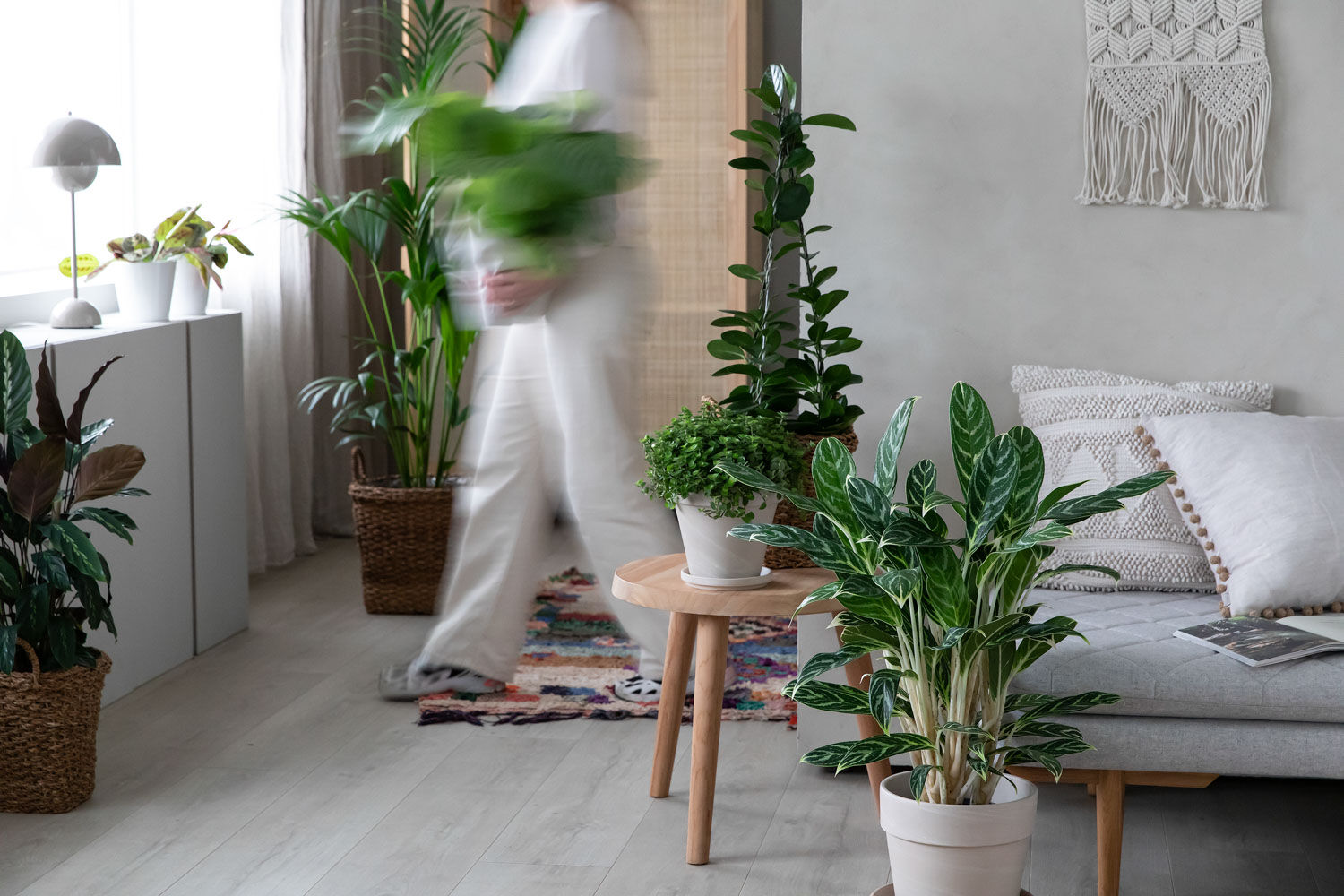 Gr&oslash;nne planter