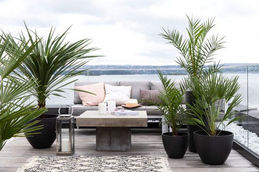 terrassepalmene er fine i sorte Antwerp Ecopots