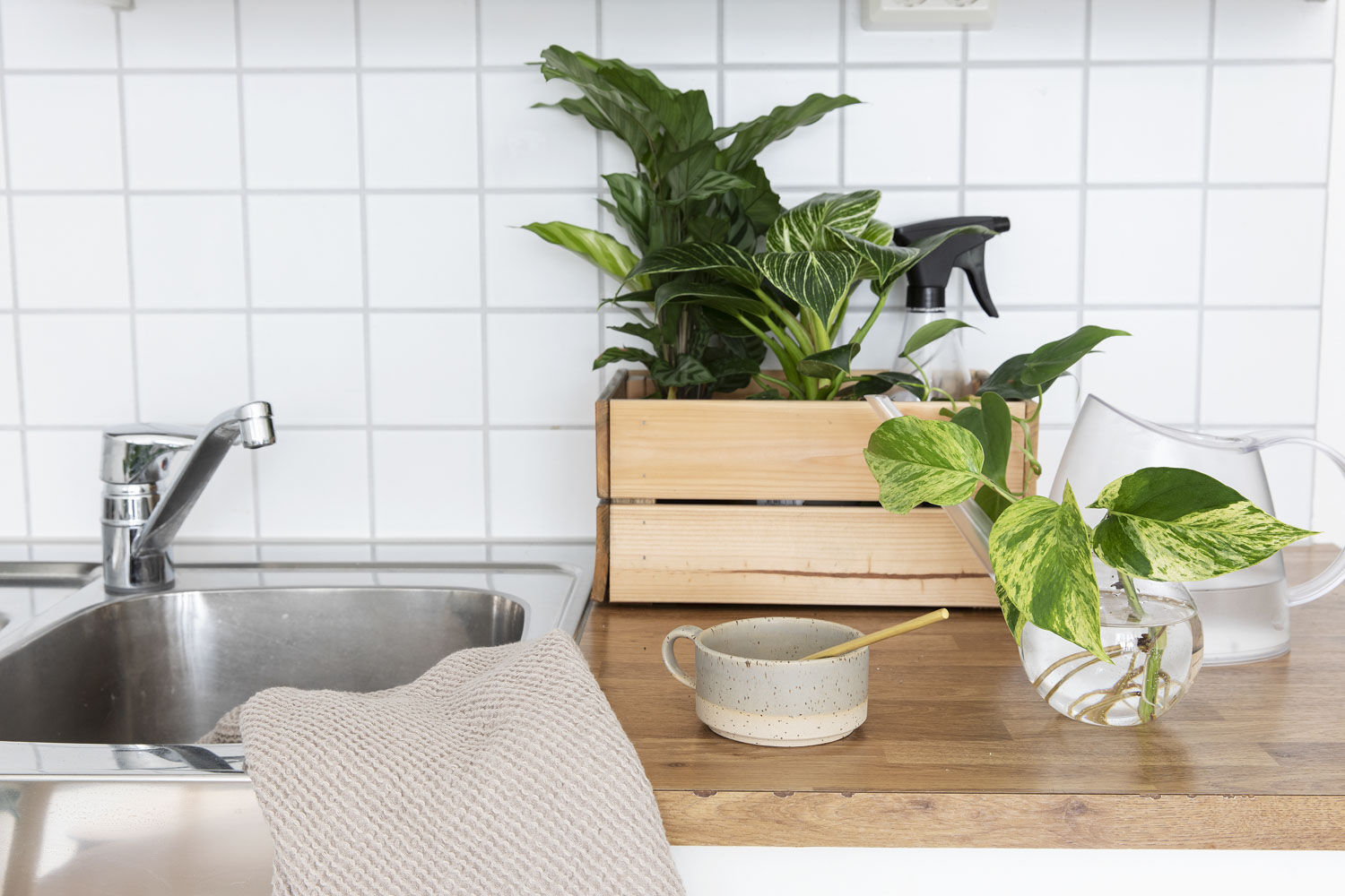 Gr&oslash;nne planter p&aring; hybel