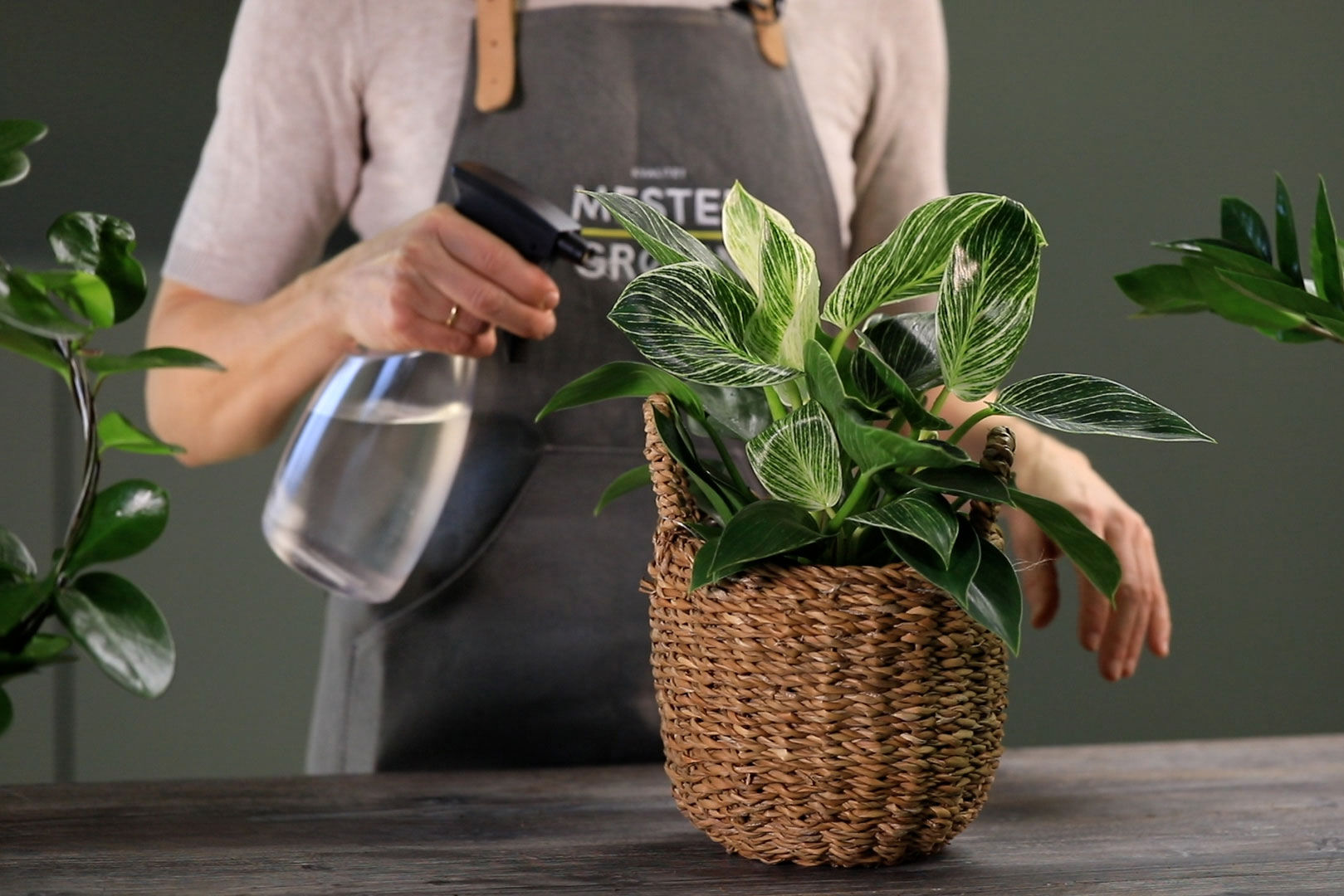 Gr&oslash;nne planter