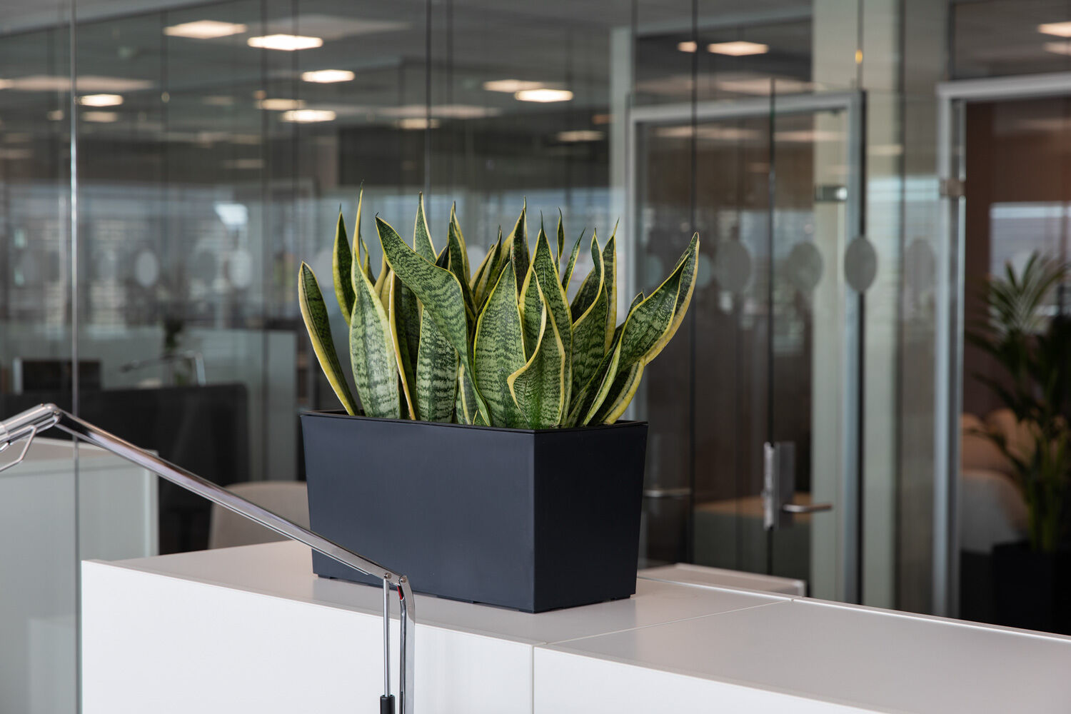 Gr&oslash;nne planter