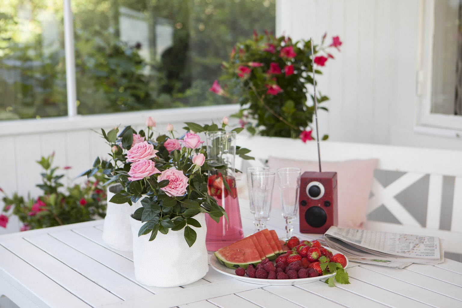 Sommerstemning med potteroser.