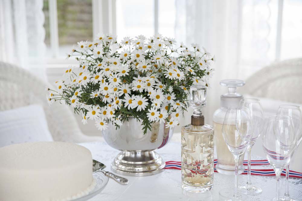 Festpyntet bord med margeritt