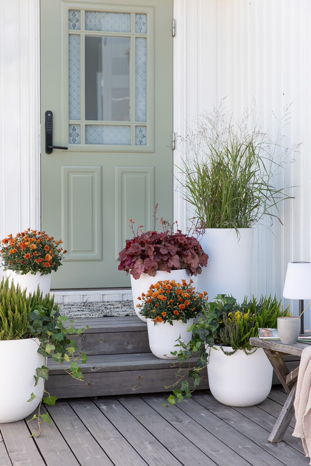 plante sommerblomster