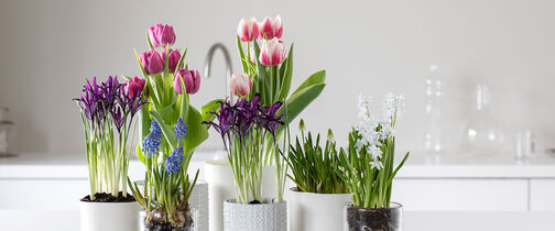 Start v&aring;ren inne med l&oslash;kblomster