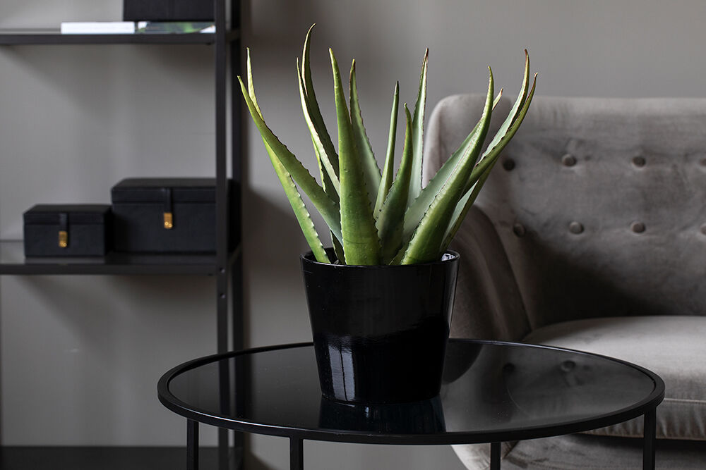 gr&oslash;nne planter_kunstig aloe vera i krukke