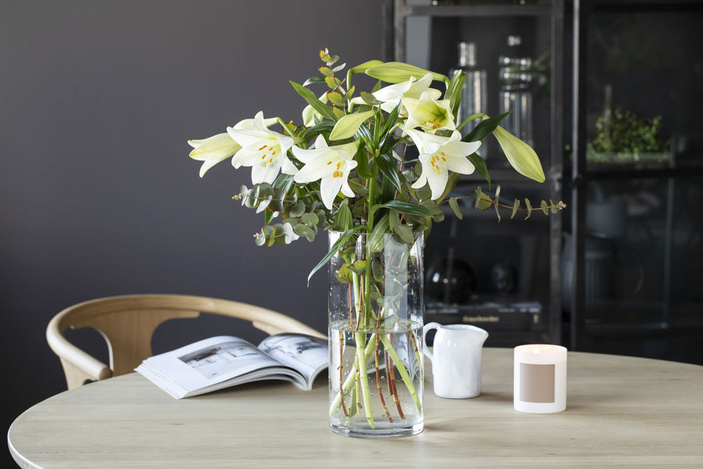 Martha liljer longiflorum