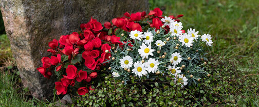 Tips til blomster p&aring; graven