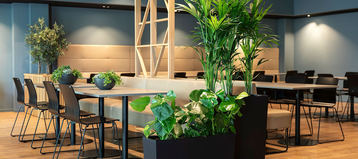 Gr&oslash;nne planter