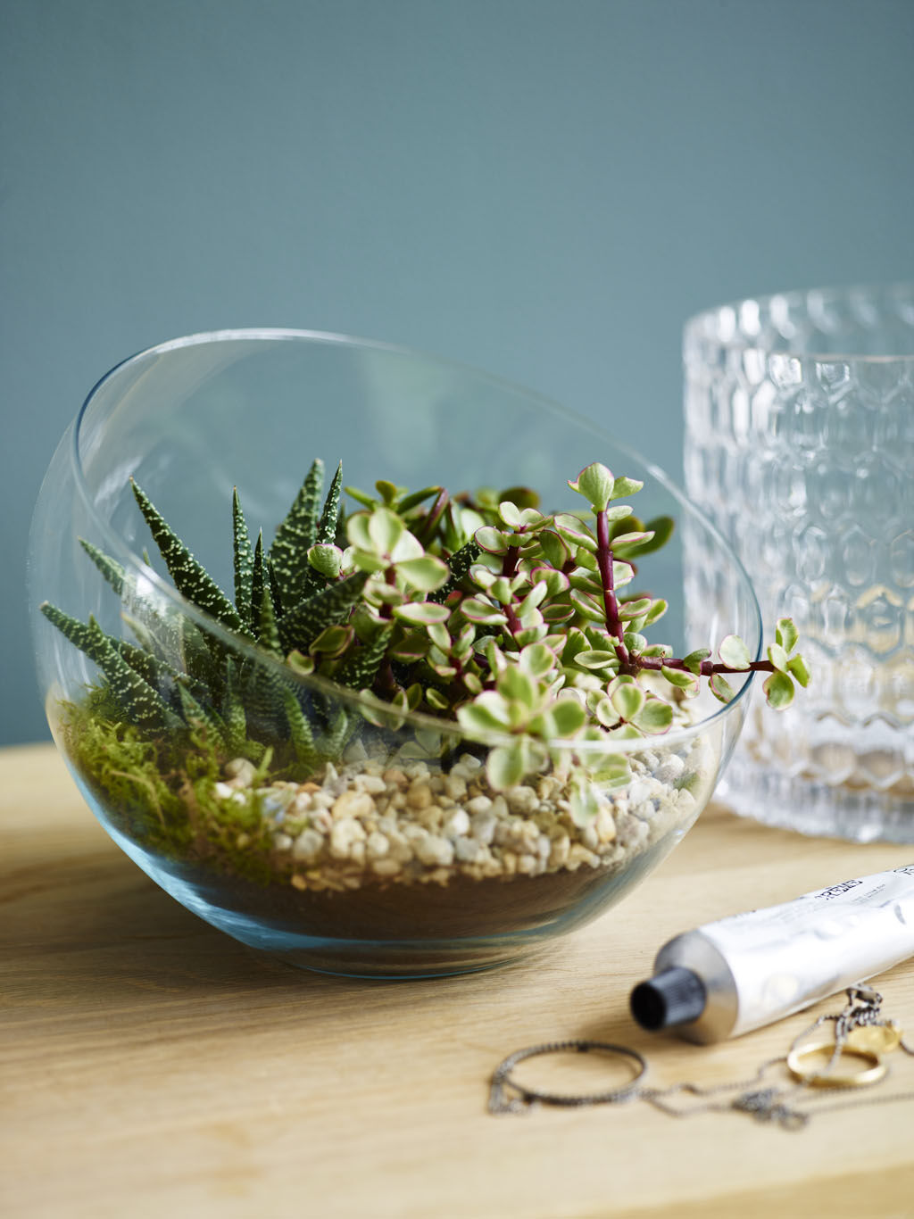 Stilig med sukkulenter og kaktuser i terrarium