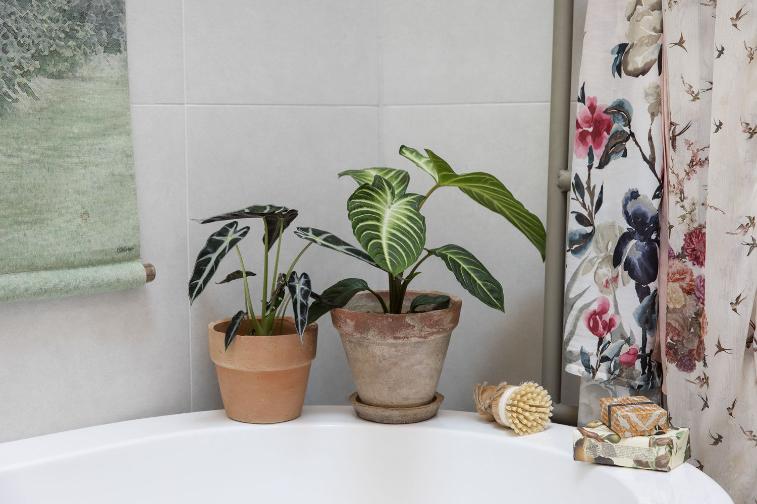 Gr&oslash;nne planter p&aring; badet