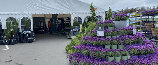 Blomstermarked ute Mester Gr&oslash;nn