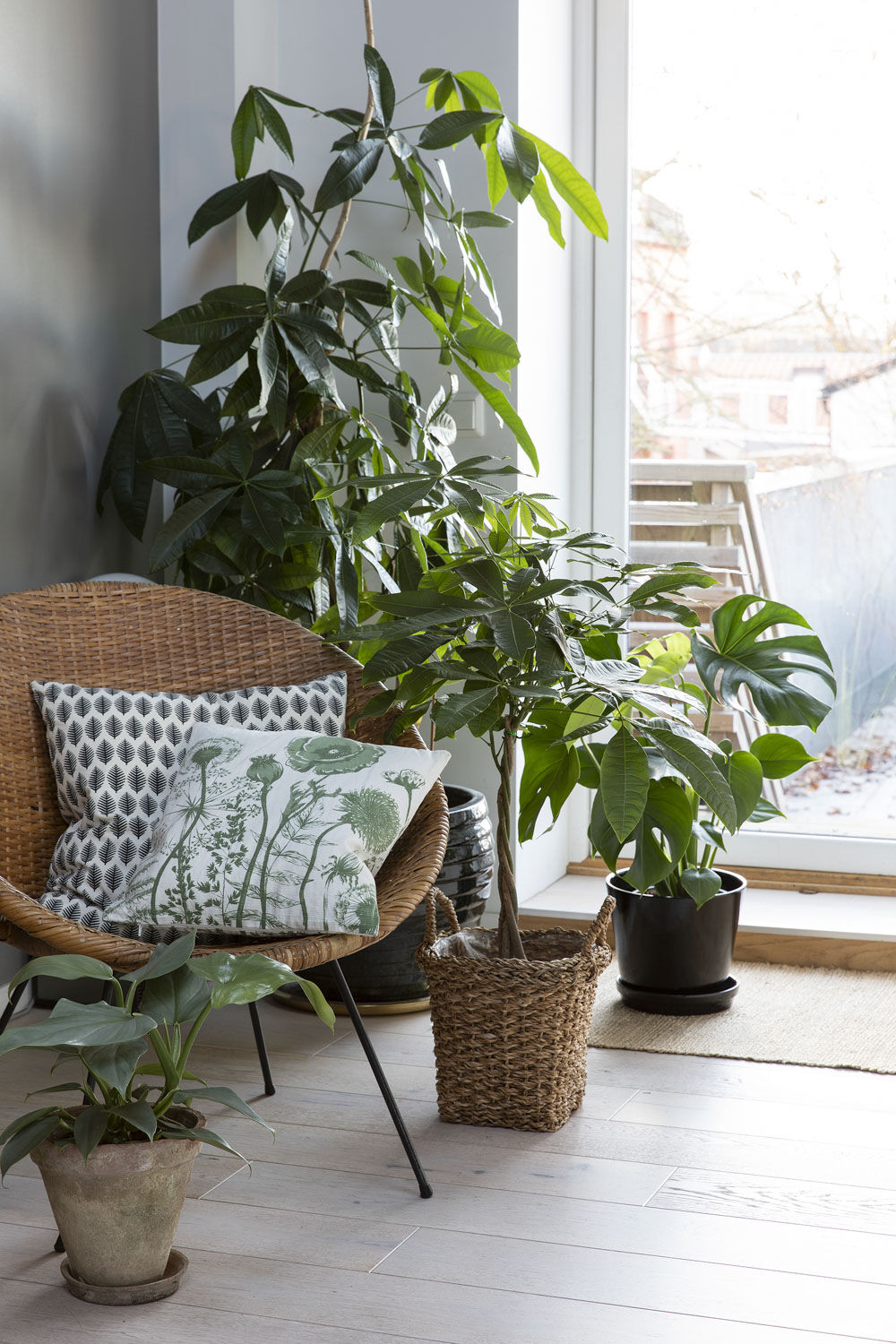 Gr&oslash;nne planter
