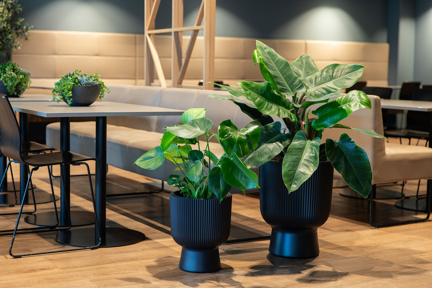 Gr&oslash;nne planter