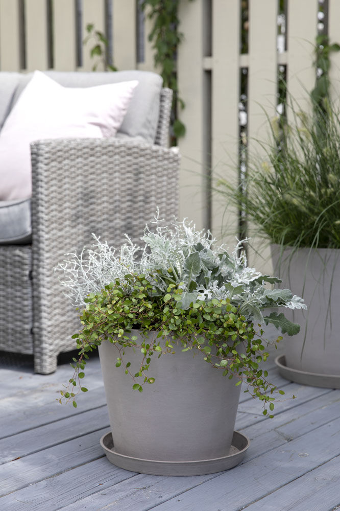 H&oslash;stblomster