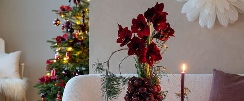 Vakker r&oslash;d julebukett med amaryllis