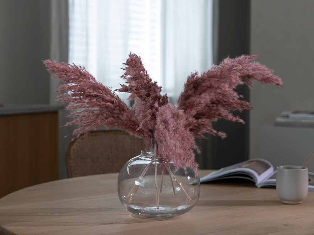 T&oslash;rkede pampas str&aring;