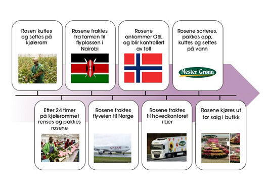 Rosens vei til Mester Gr&oslash;nn
