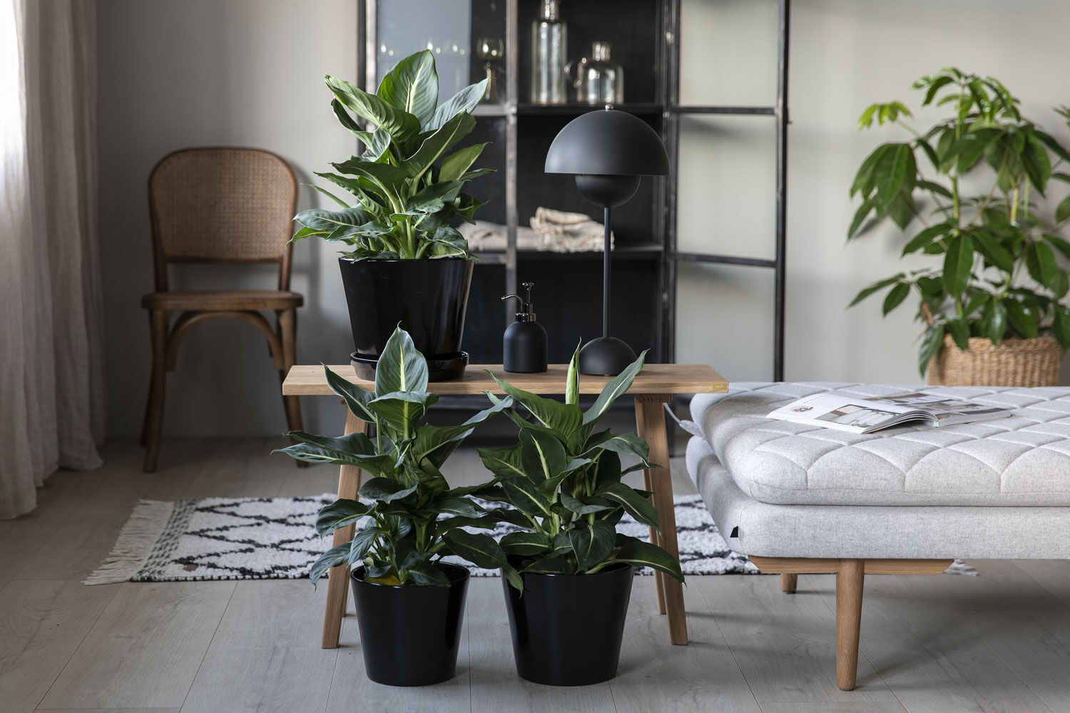 Gr&oslash;nne planter