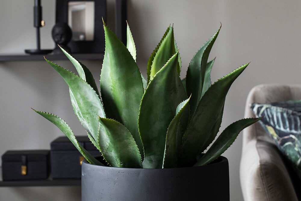 gr&oslash;nne planter_kunstig agave