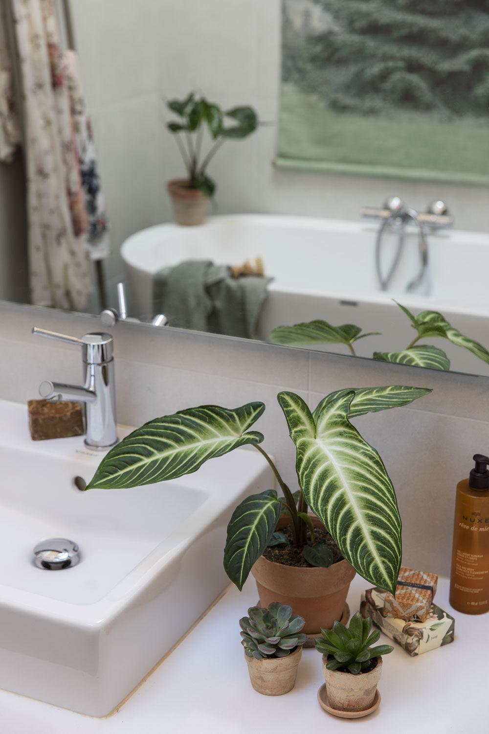 Gr&oslash;nne planter p&aring; badet