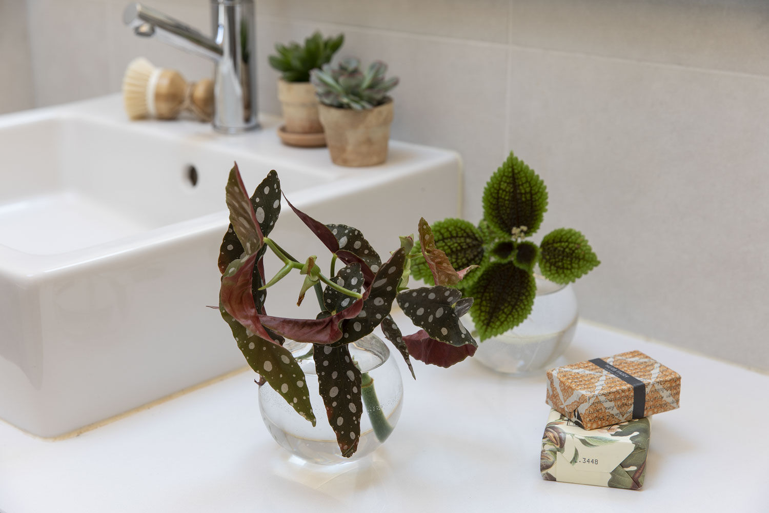 Gr&oslash;nne planter p&aring; badet stiklinger