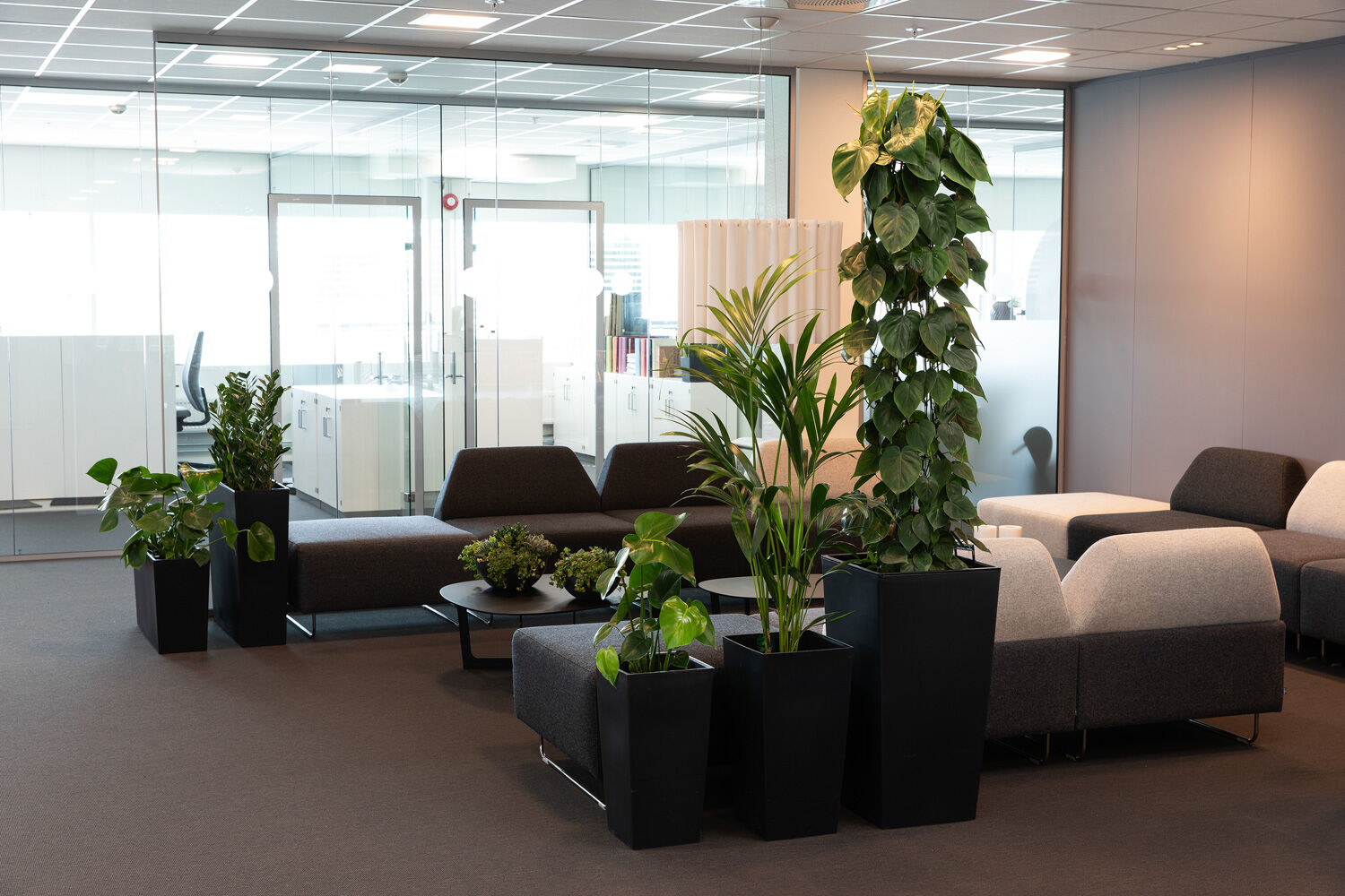 Gr&oslash;nne planter