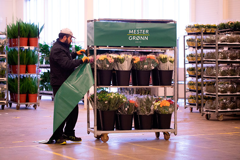 Terminalarbeider Mester Gr&oslash;nn