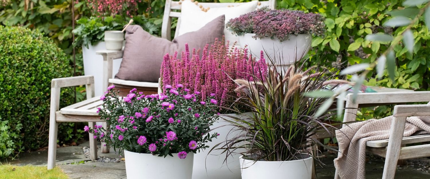 lettstelte h&oslash;stblomster