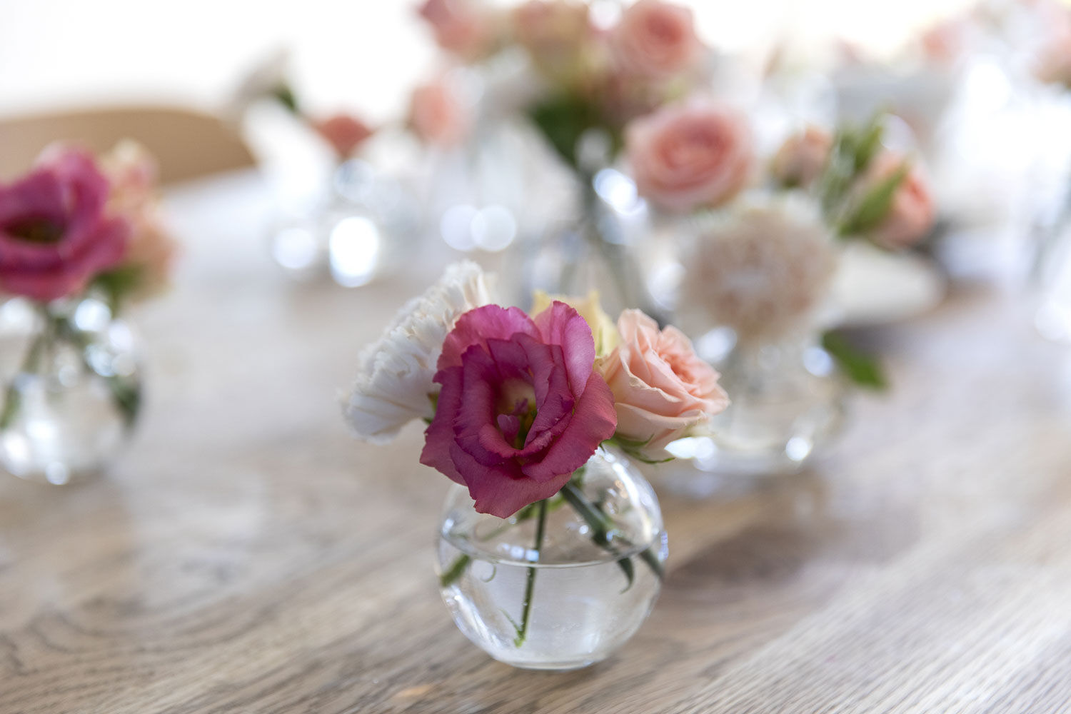 blomster til 3 for 2