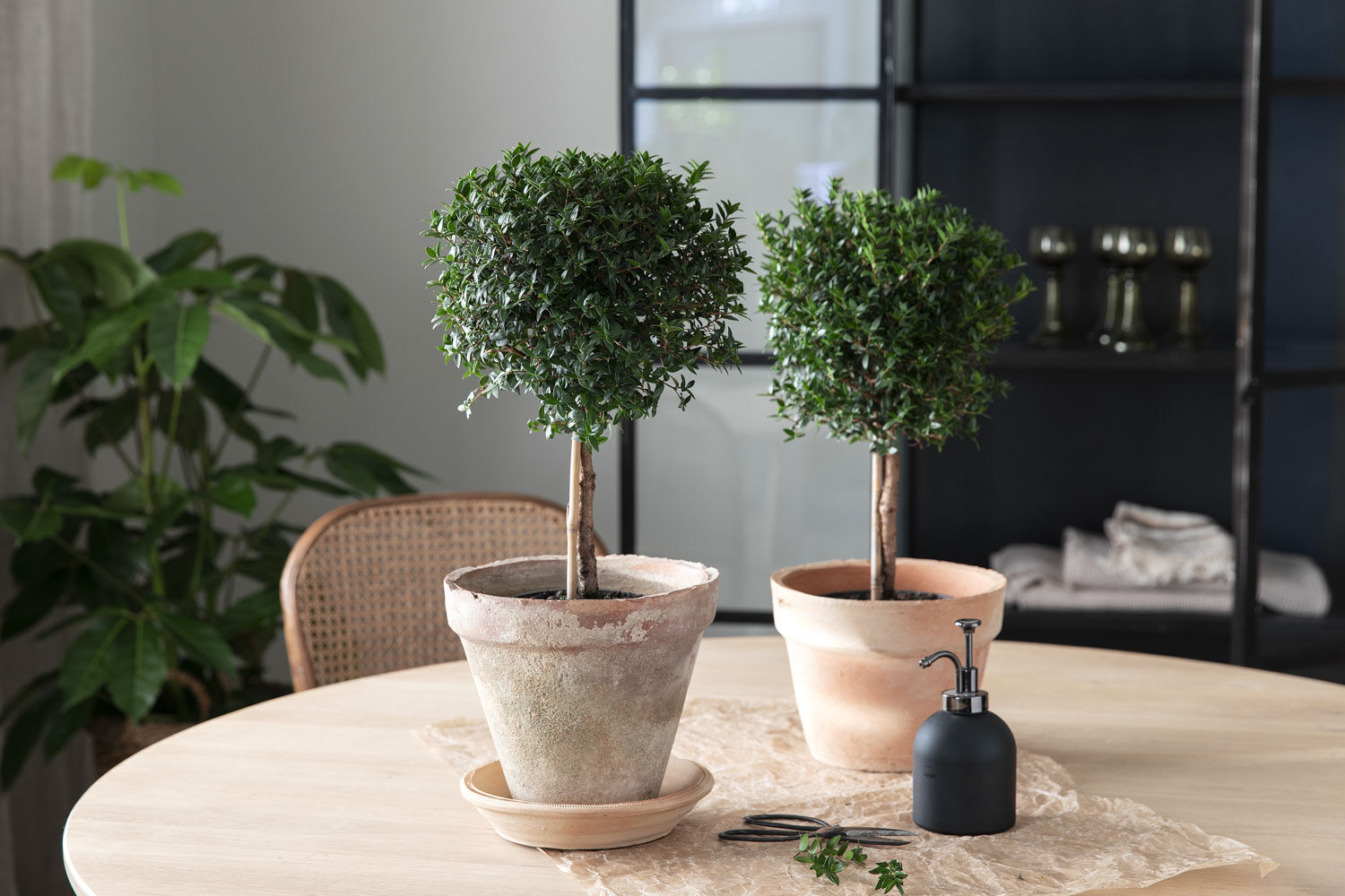 Myrt - gr&oslash;nne planter