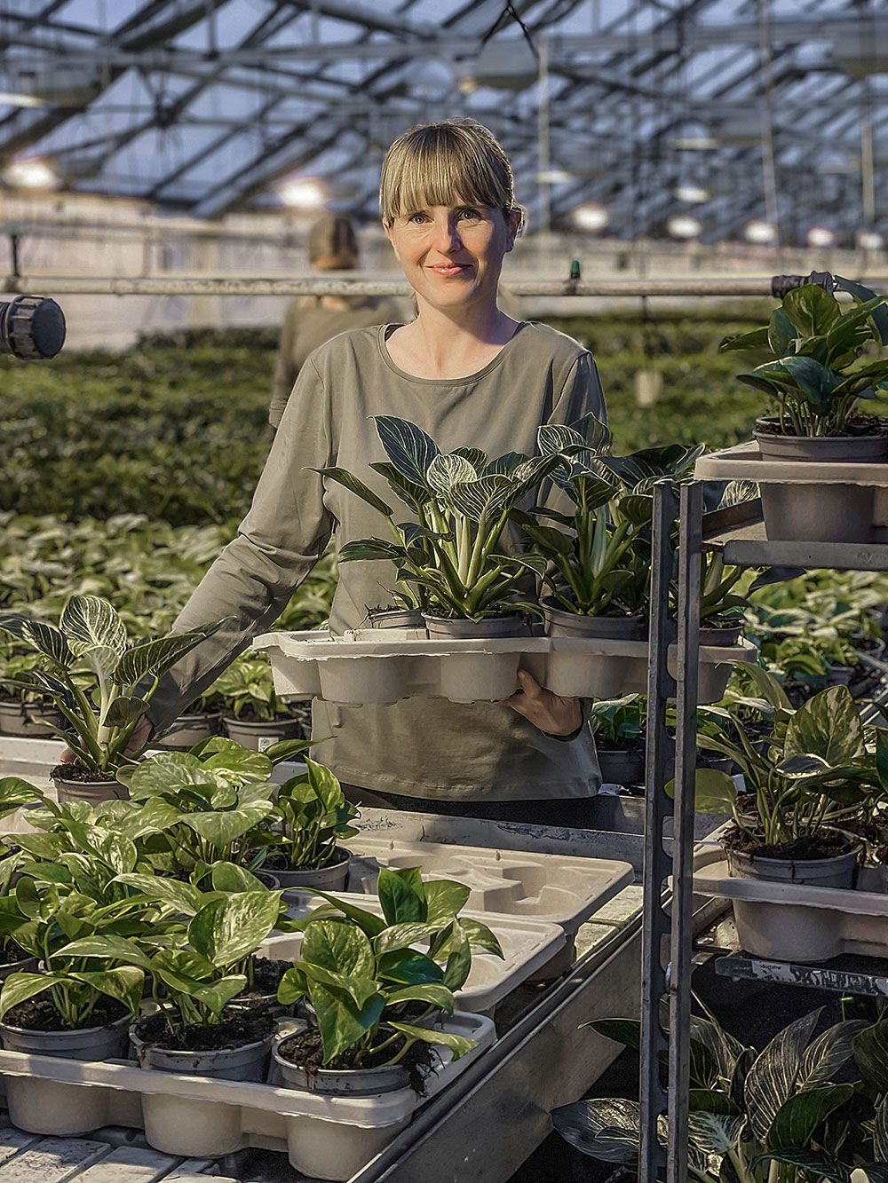 Milj&oslash;vennlige plantebrett