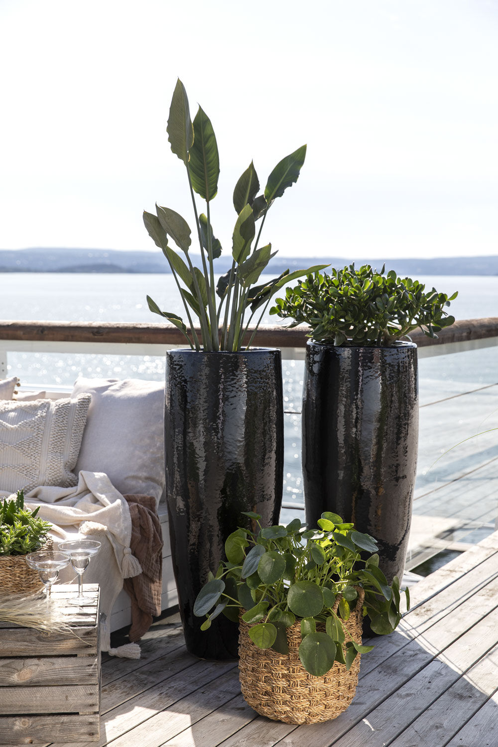 Gr&oslash;nne planter ute