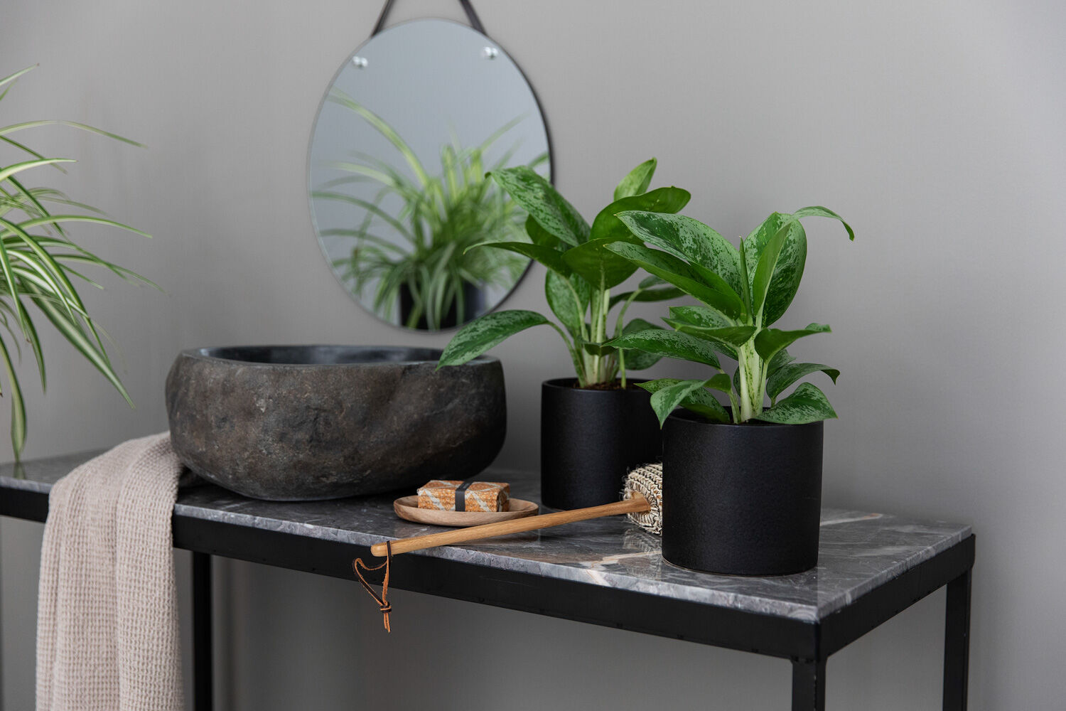 Gr&oslash;nne planter p&aring; badet