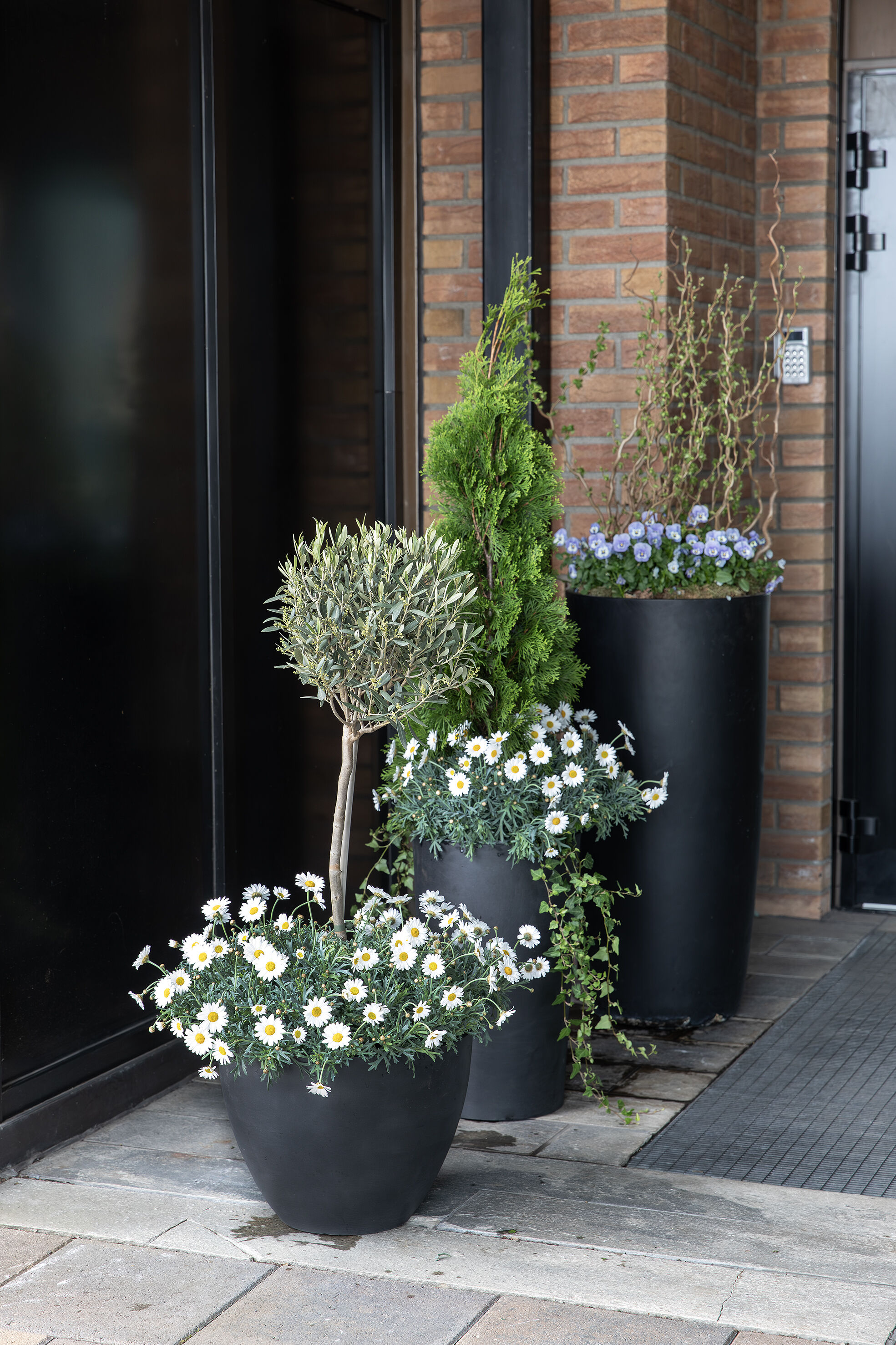 Blomstrende inngangsparti
