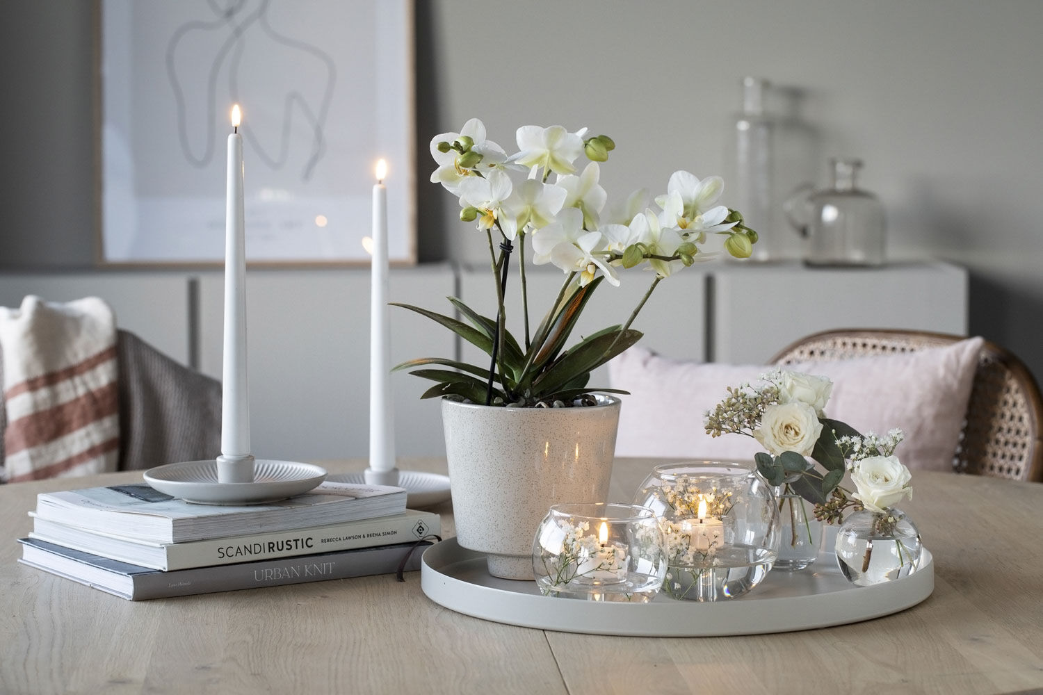 &uml;Phalaenopsis orkide