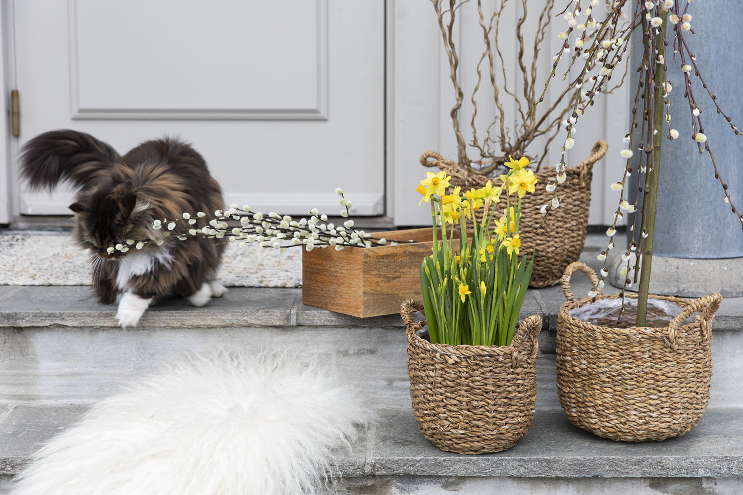V&aring;rblomster p&aring; trappen