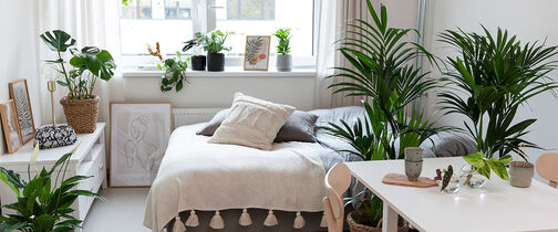 gr&oslash;nne planter p&aring; studenthybelen