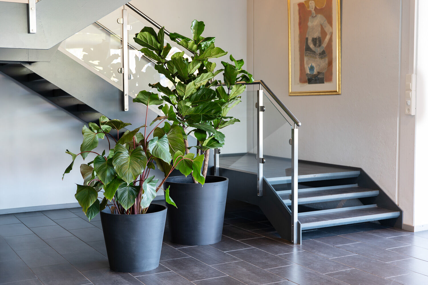 Gr&oslash;nne planter kontor