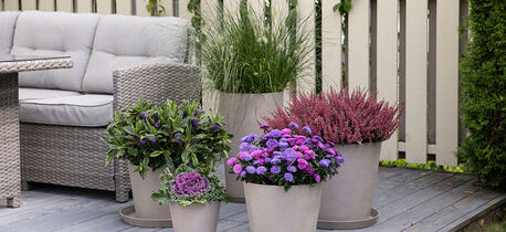 Inngangsparti med h&oslash;stblomster