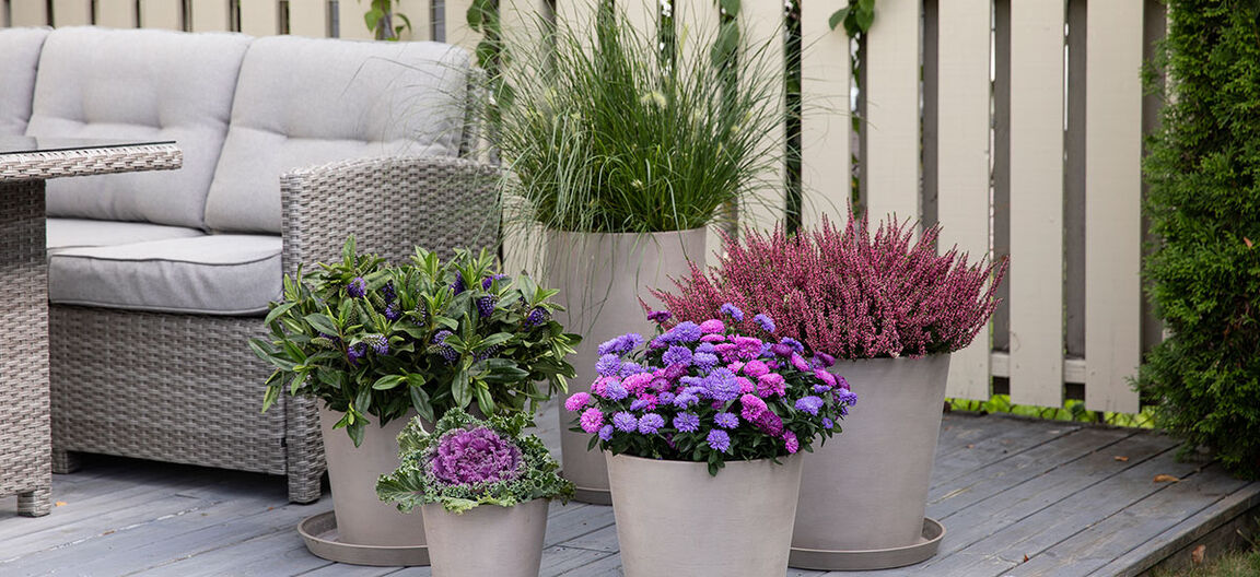 Inngangsparti med h&oslash;stblomster