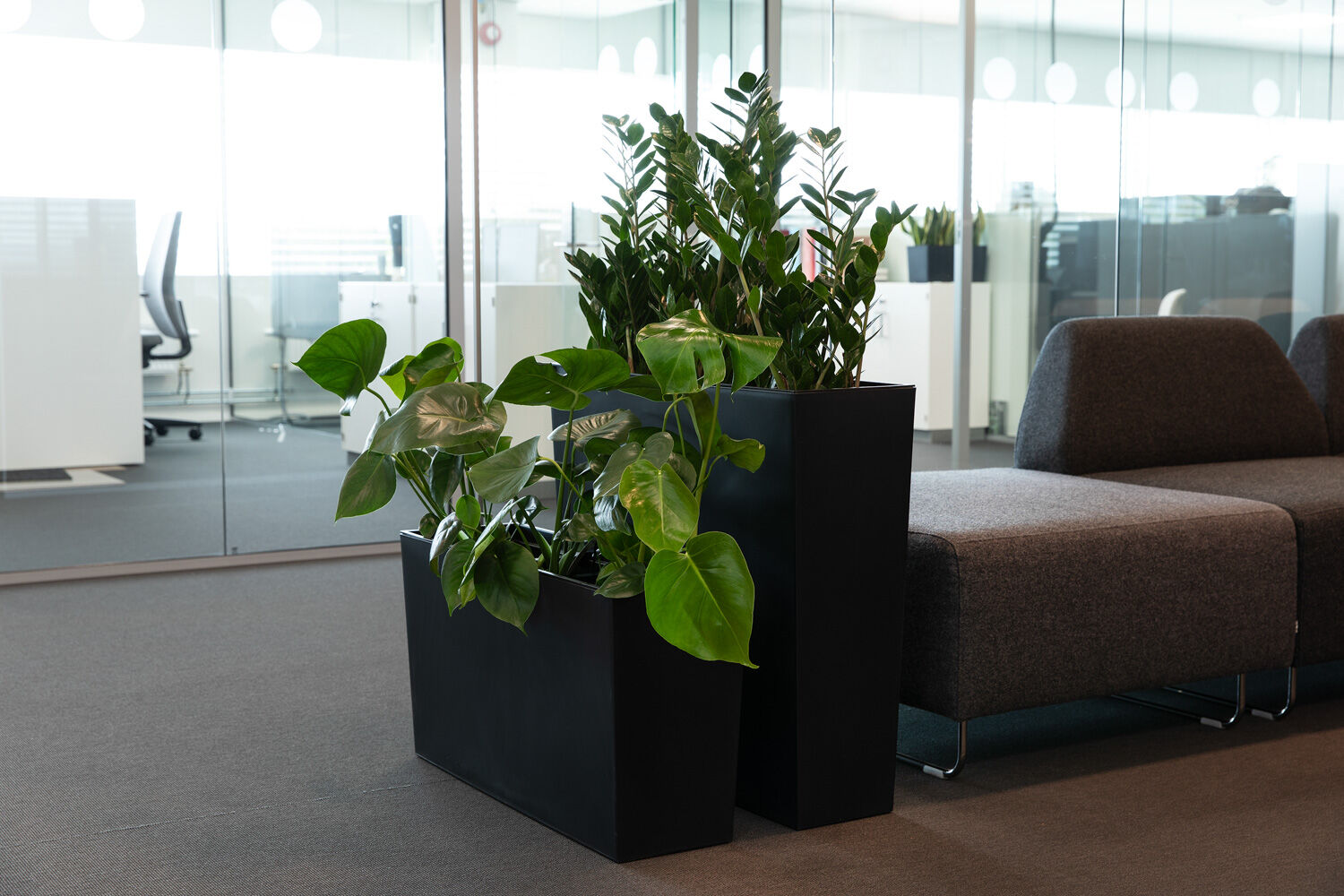 Gr&oslash;nne planter