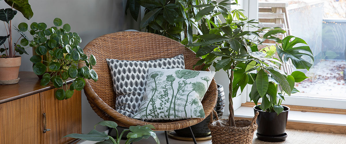 Gr&oslash;nne planter inne