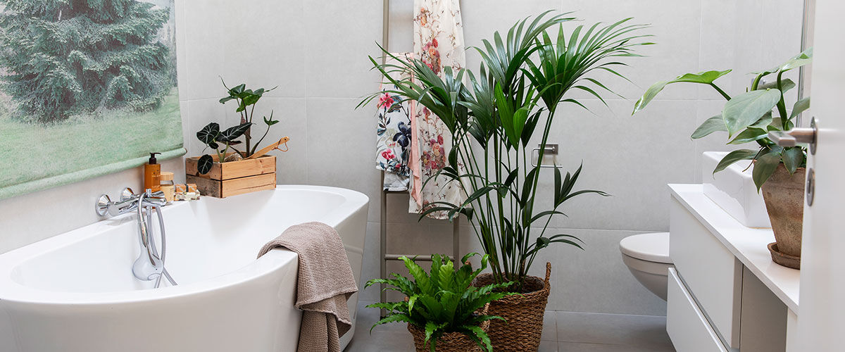 Gr&oslash;nne planer p&aring; badet