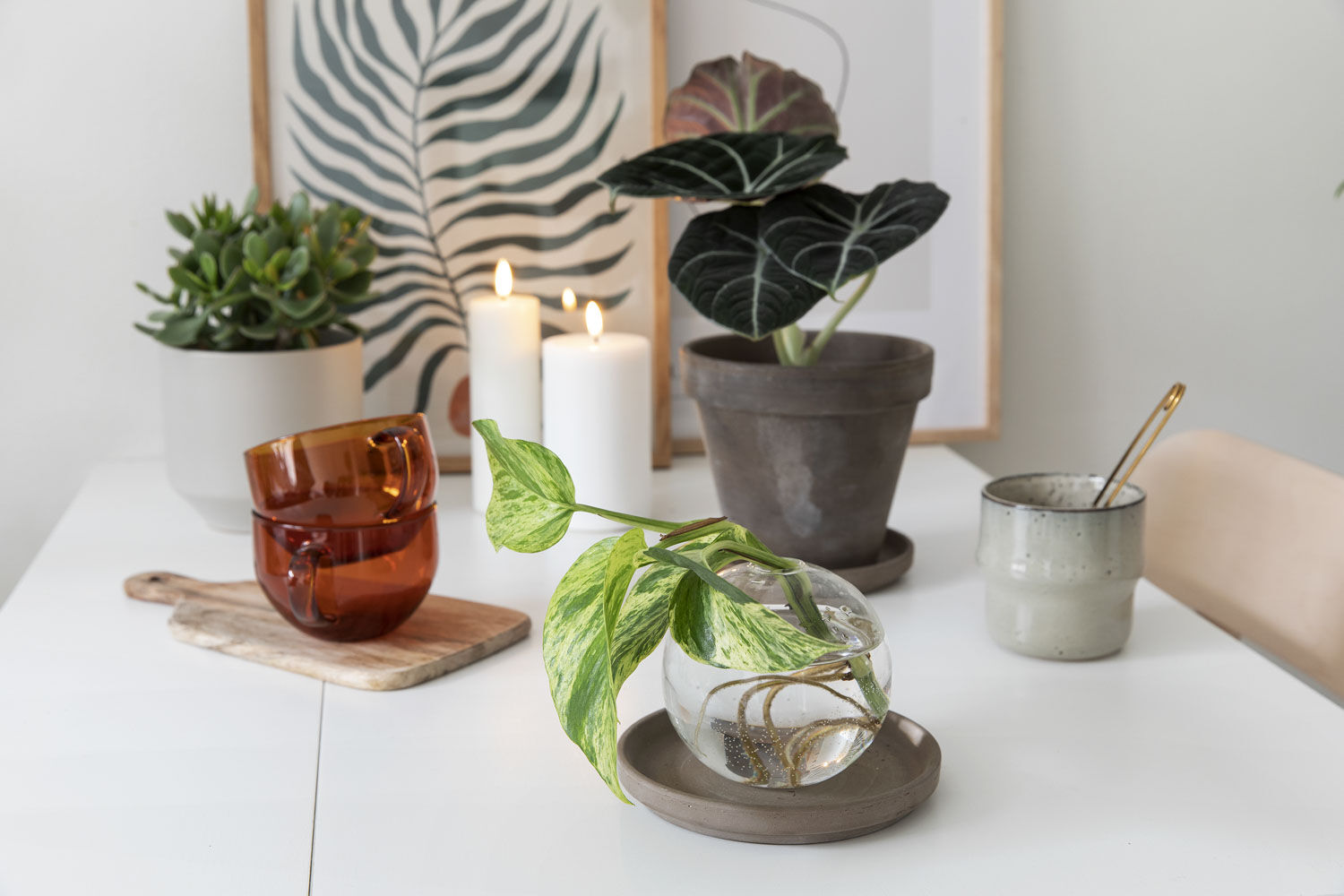 Gr&oslash;nne planter p&aring; hybel
