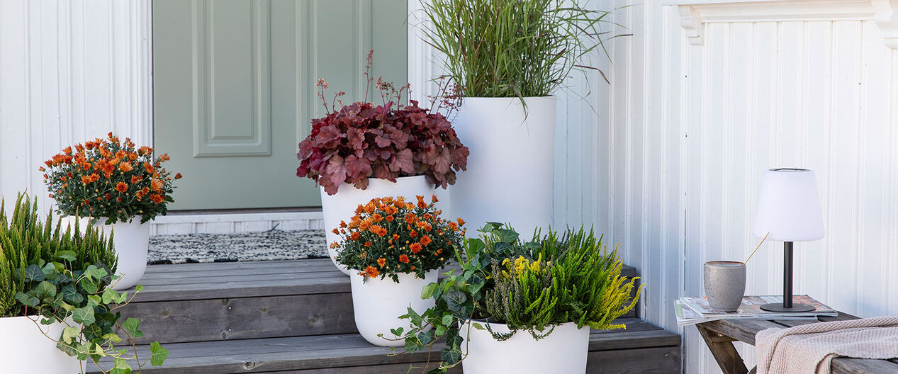 H&oslash;stblomster i inngangspartiet