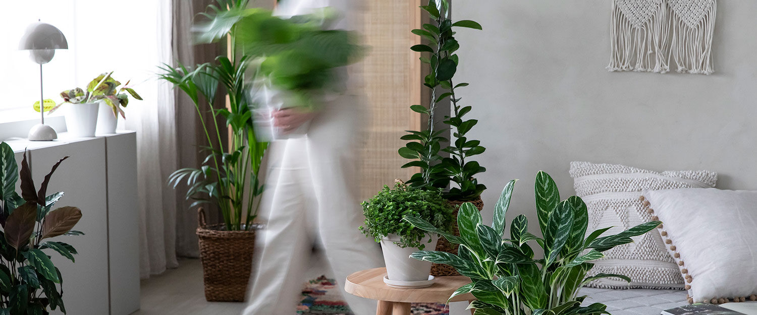 gr&oslash;nne planter