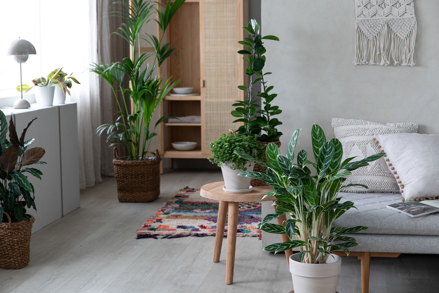 Gr&oslash;nne planter