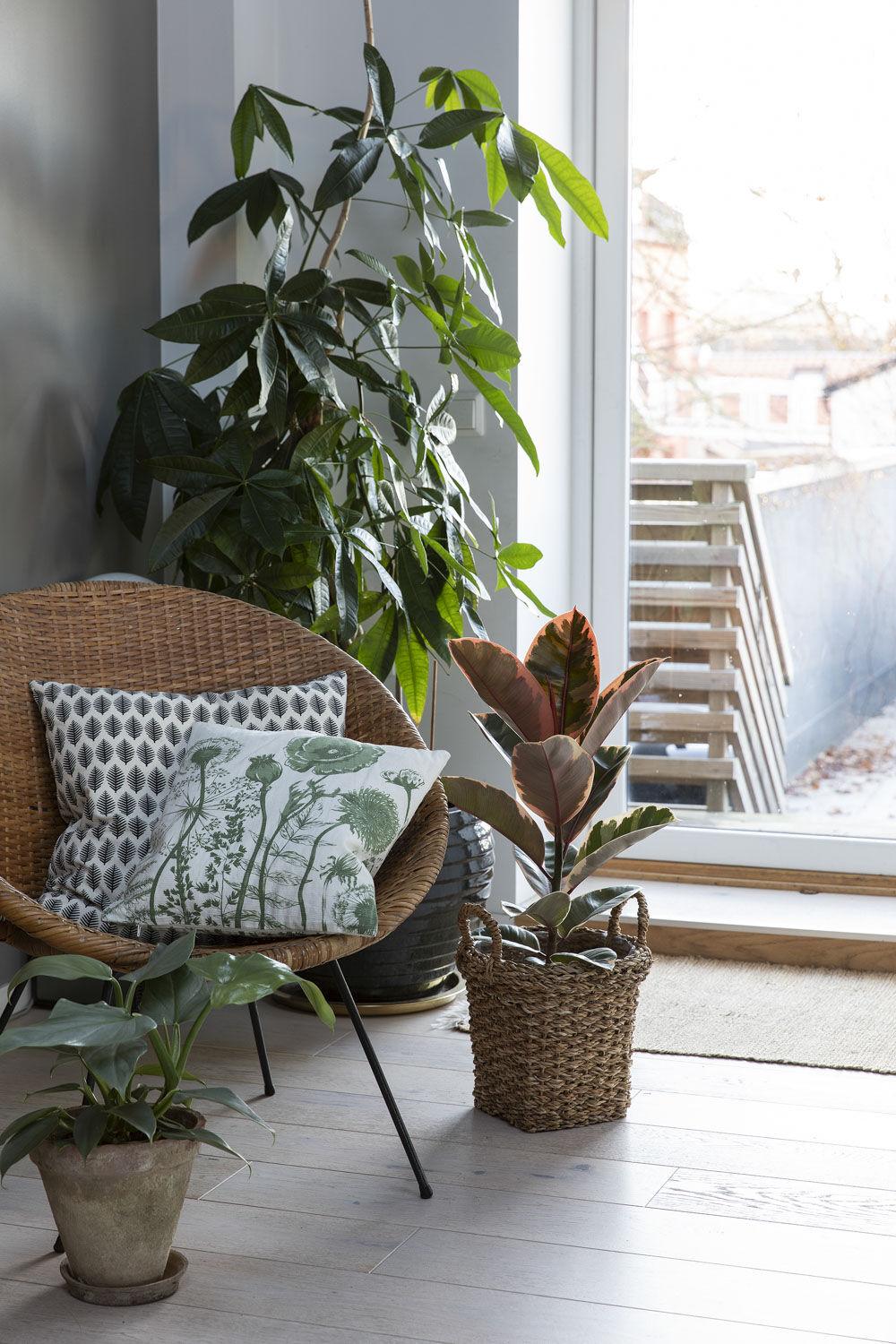 Gr&oslash;nne planter inne